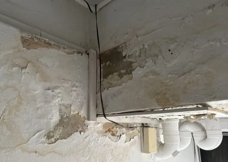 Ceiling & Wall Seepage Repair