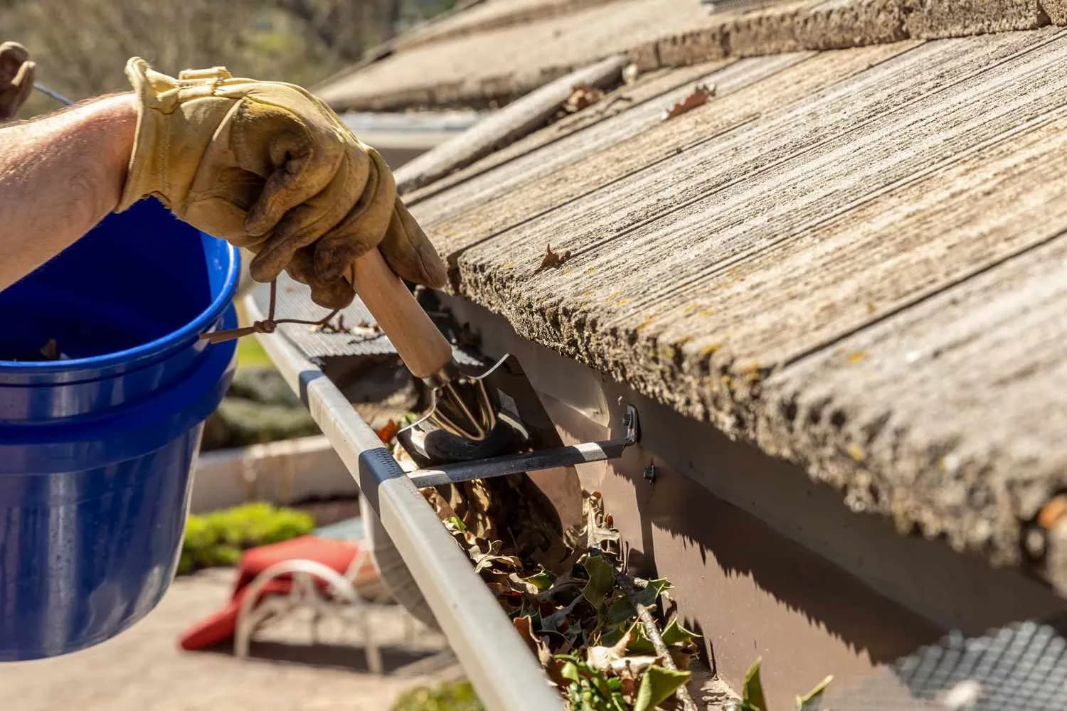 Gutter & Drainage Clearing